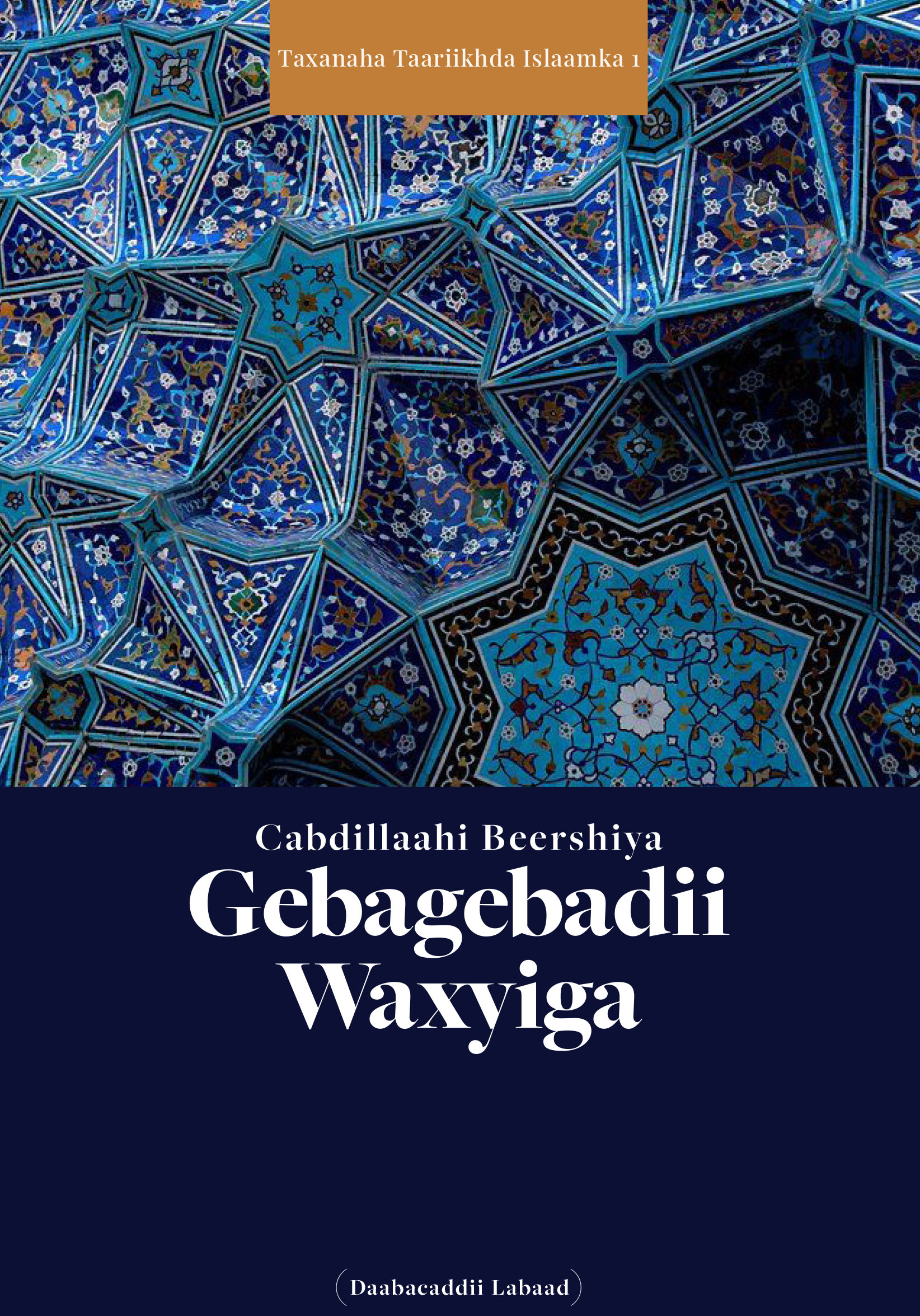 Cover of Gebagebadii Waxyiga
